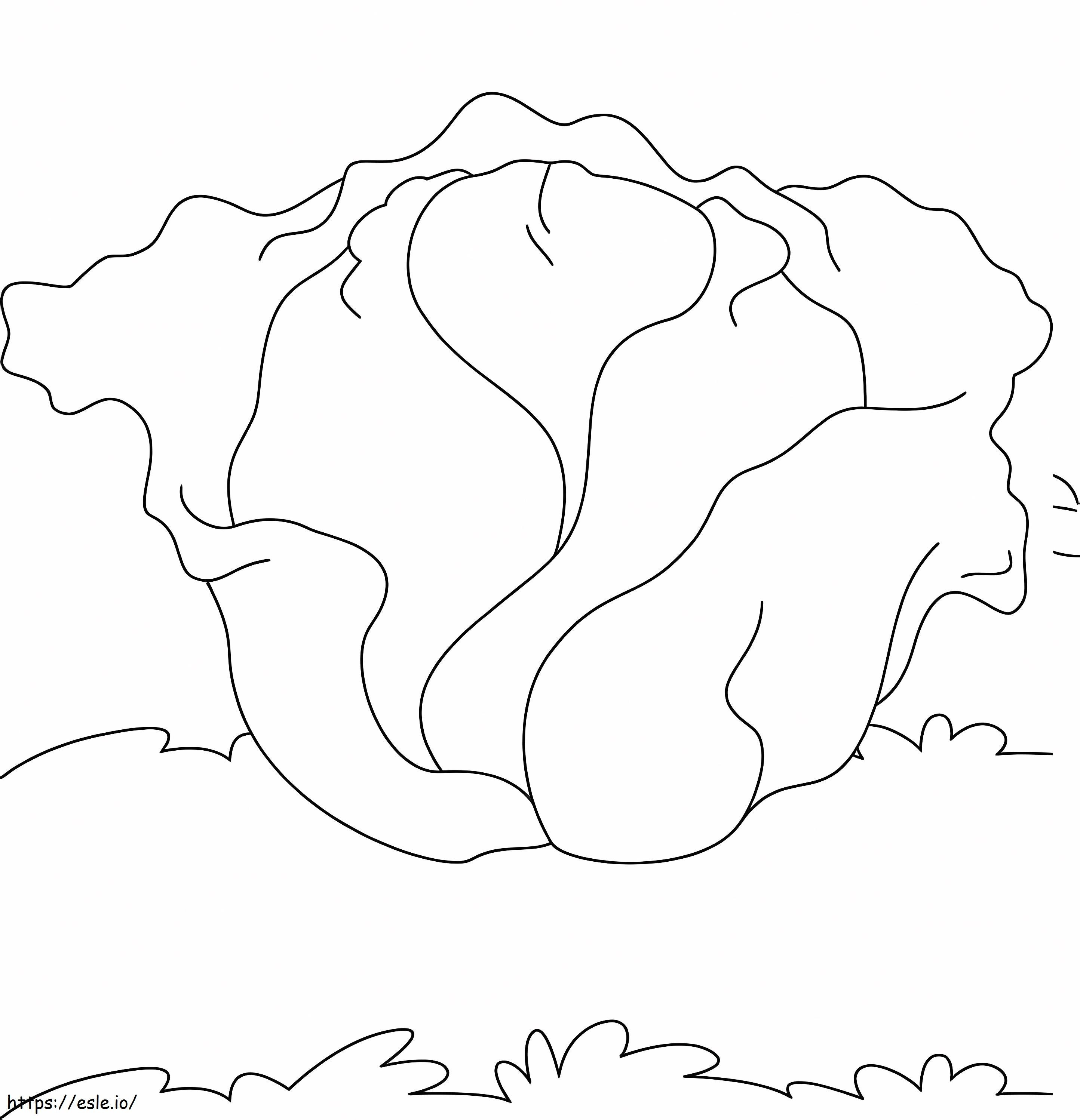 Simple Cabbage 3 coloring page