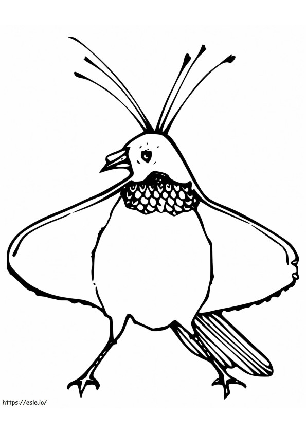 Coloriage Oiseau De Paradis 6 à imprimer dessin