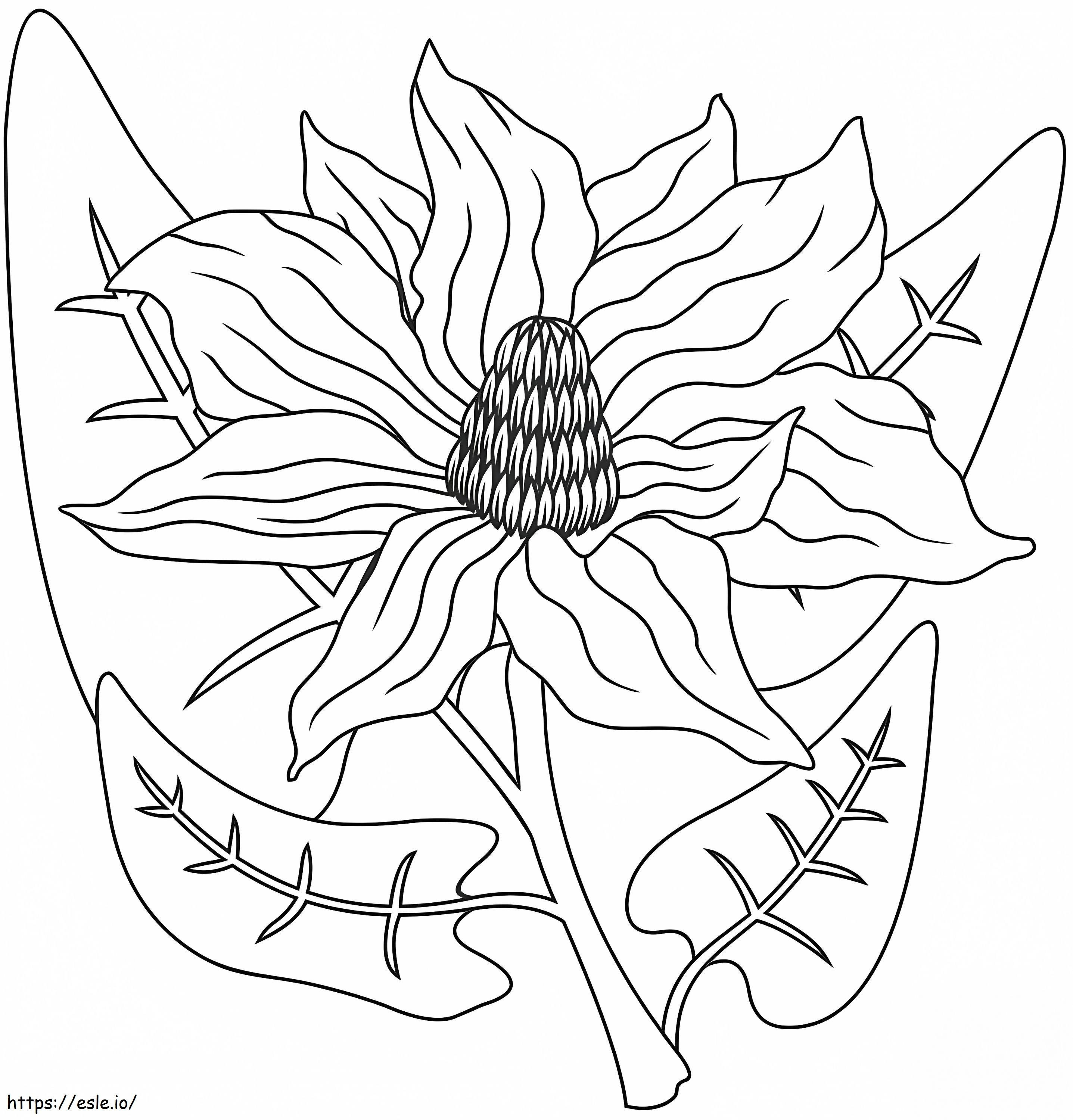 Coloriage Fleur de magnolia 15 à imprimer dessin