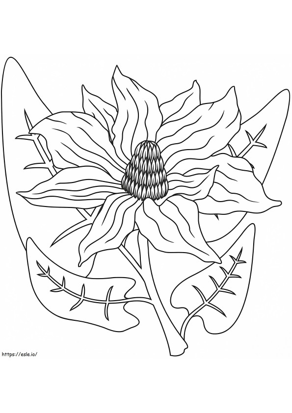 Flor de Magnólia 15 para colorir
