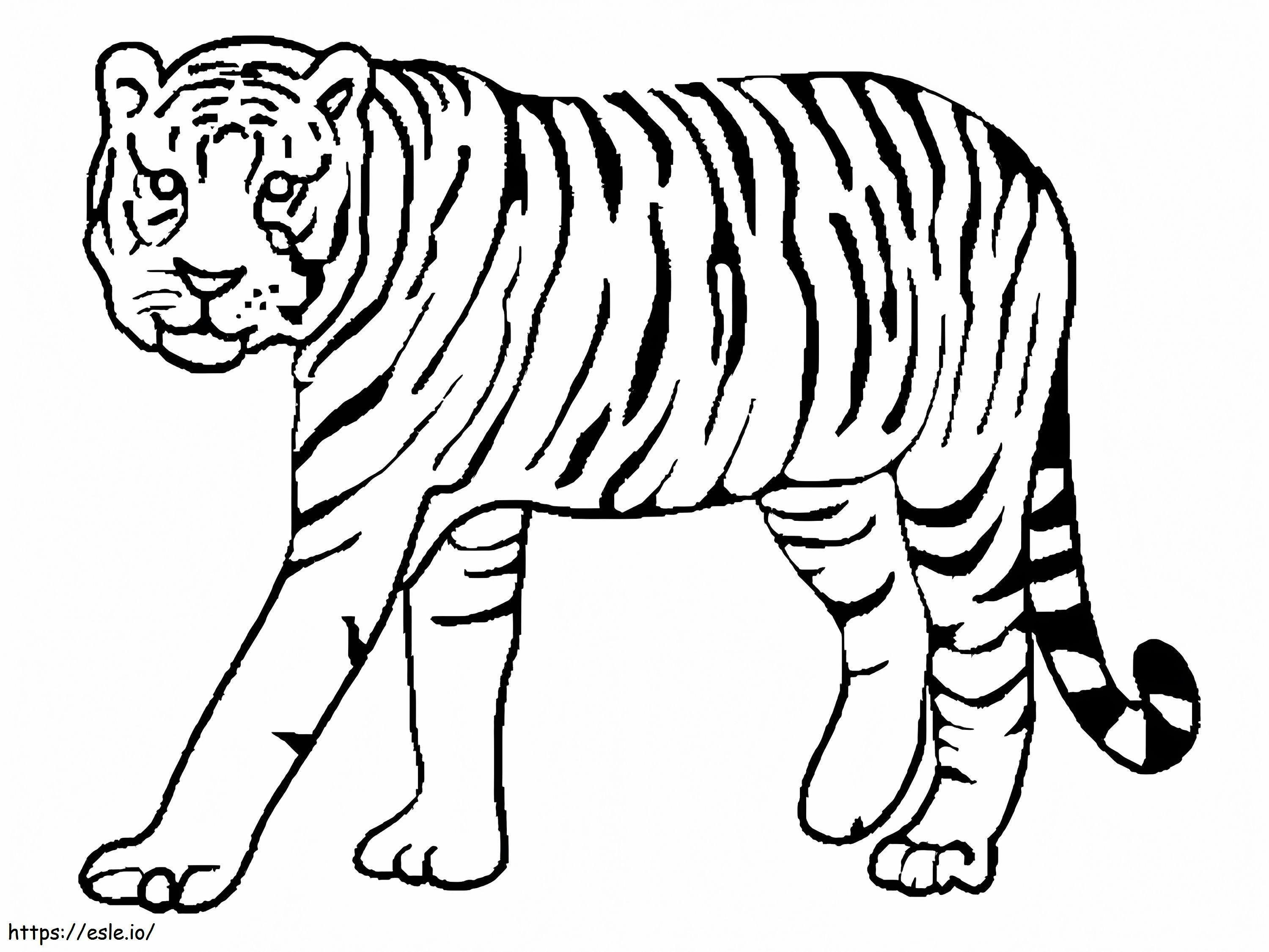 tigre caminando para colorear