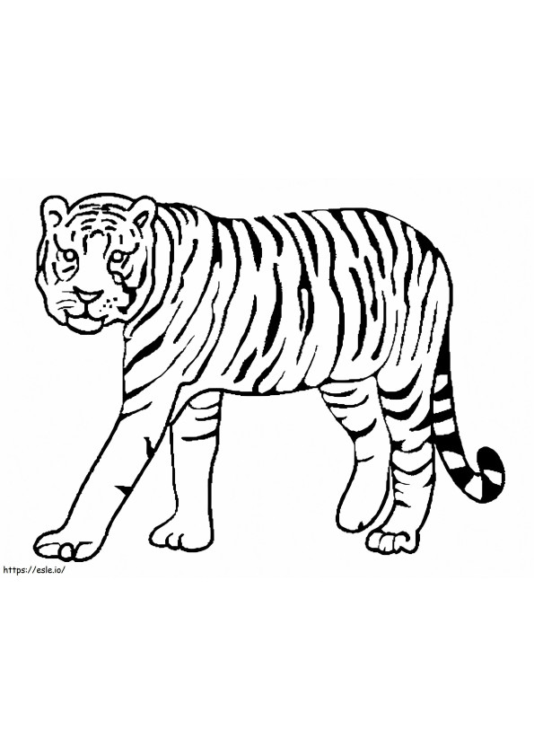 Tigre che cammina da colorare