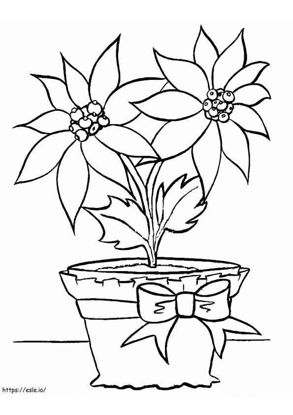 Christmas Poinsettia In A Pot coloring page
