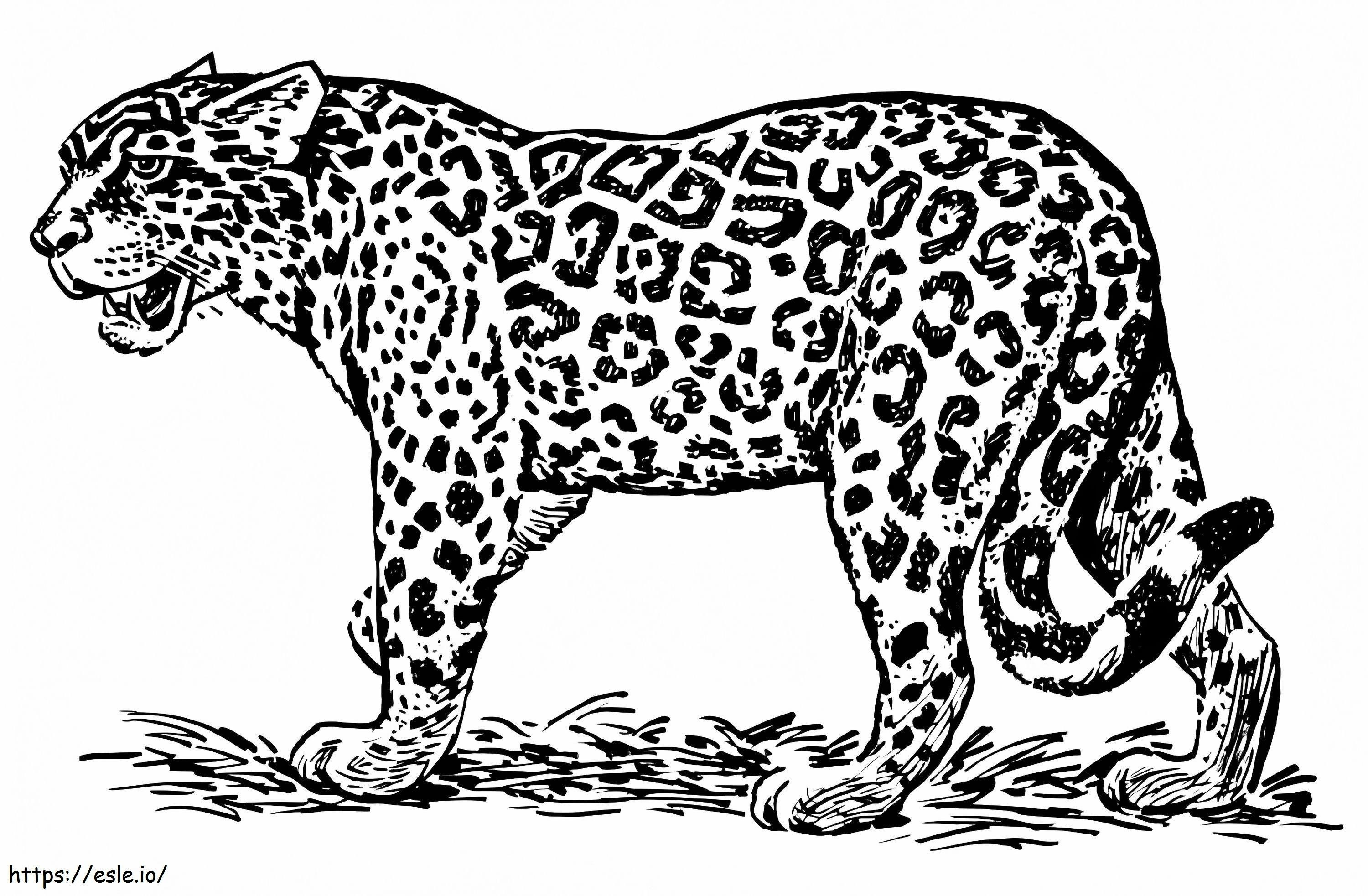 Gattopardo stampabile gratuitamente da colorare