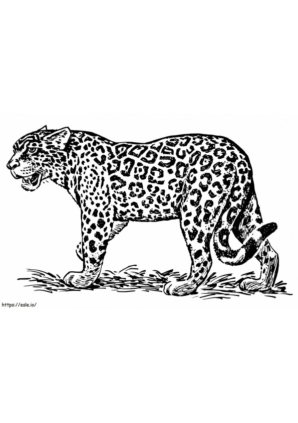 Free Printable Ocelot coloring page