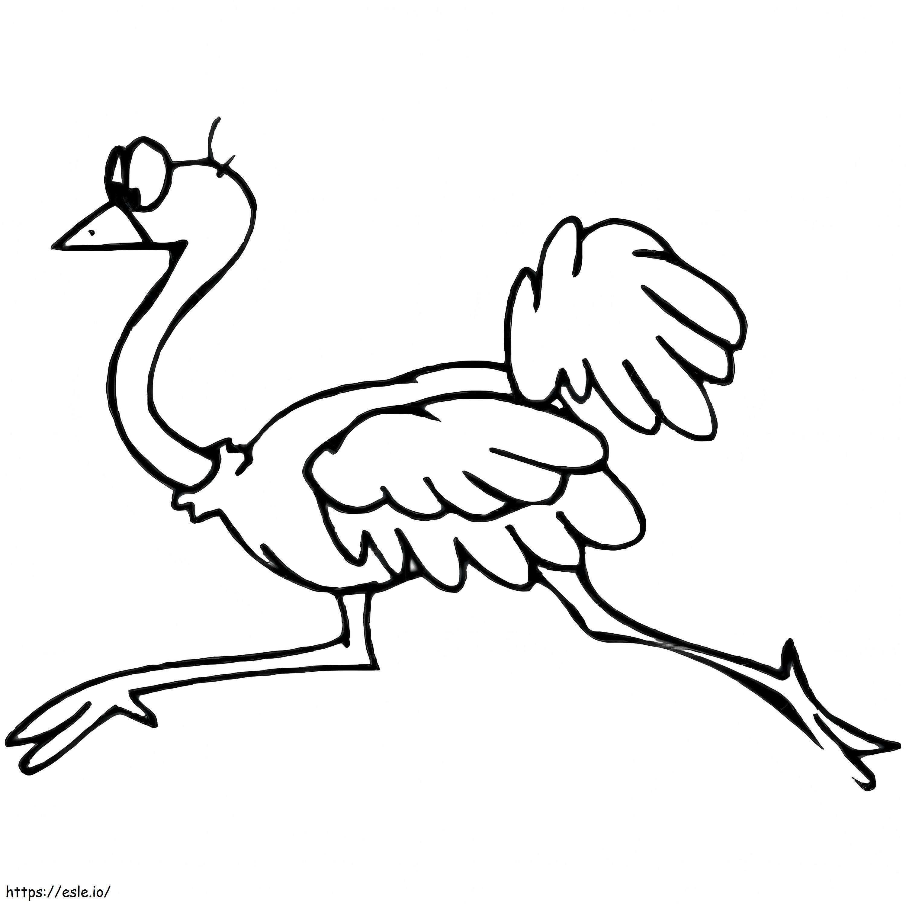 Struisvogel rennen kleurplaat kleurplaat