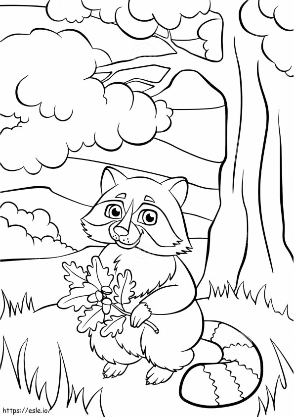Raccoon Holding Leaf kifestő