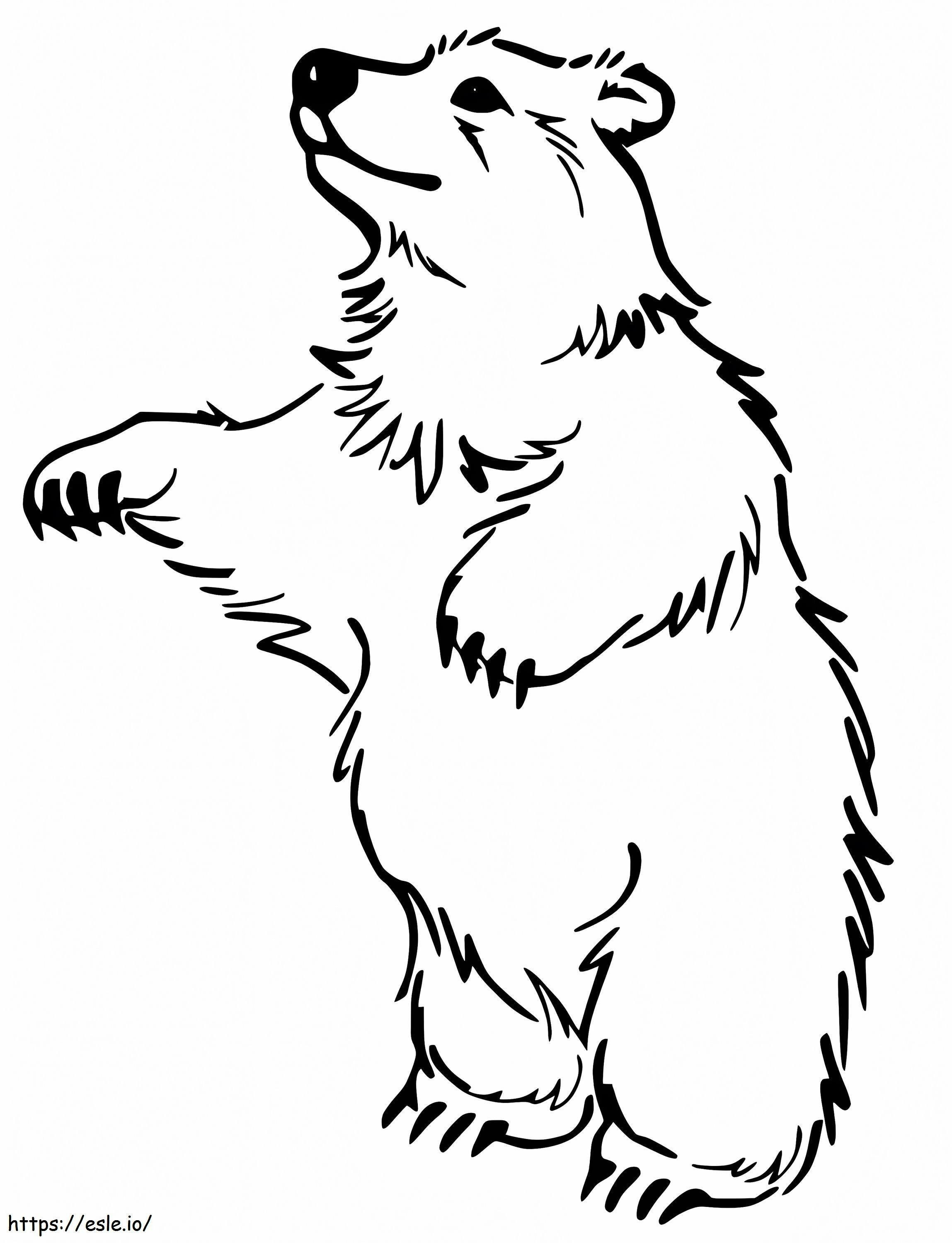 Printable Black Bear coloring page
