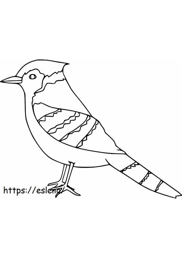 Oszałamiający ptak Jay kolorowanka