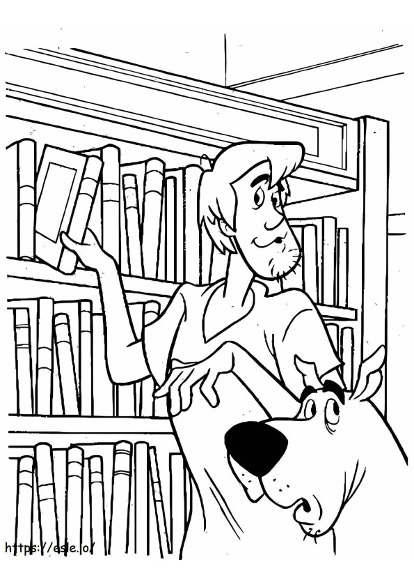 Shaggy și Scooby Doo la librărie de colorat
