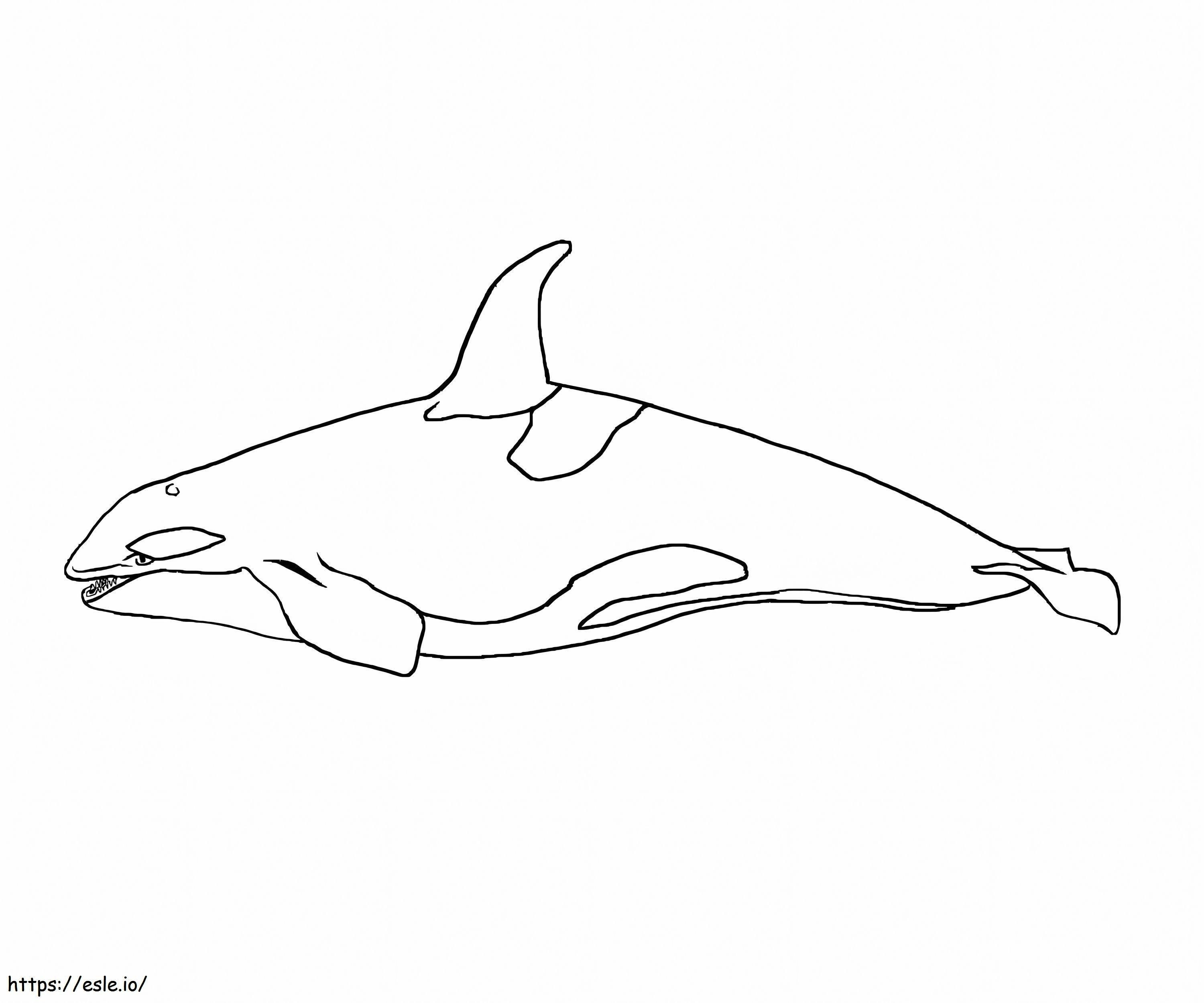 Coloriage Baleine étonnante à imprimer dessin