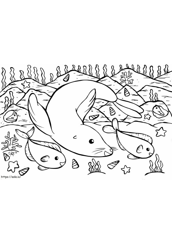 Seals And Fish coloring page