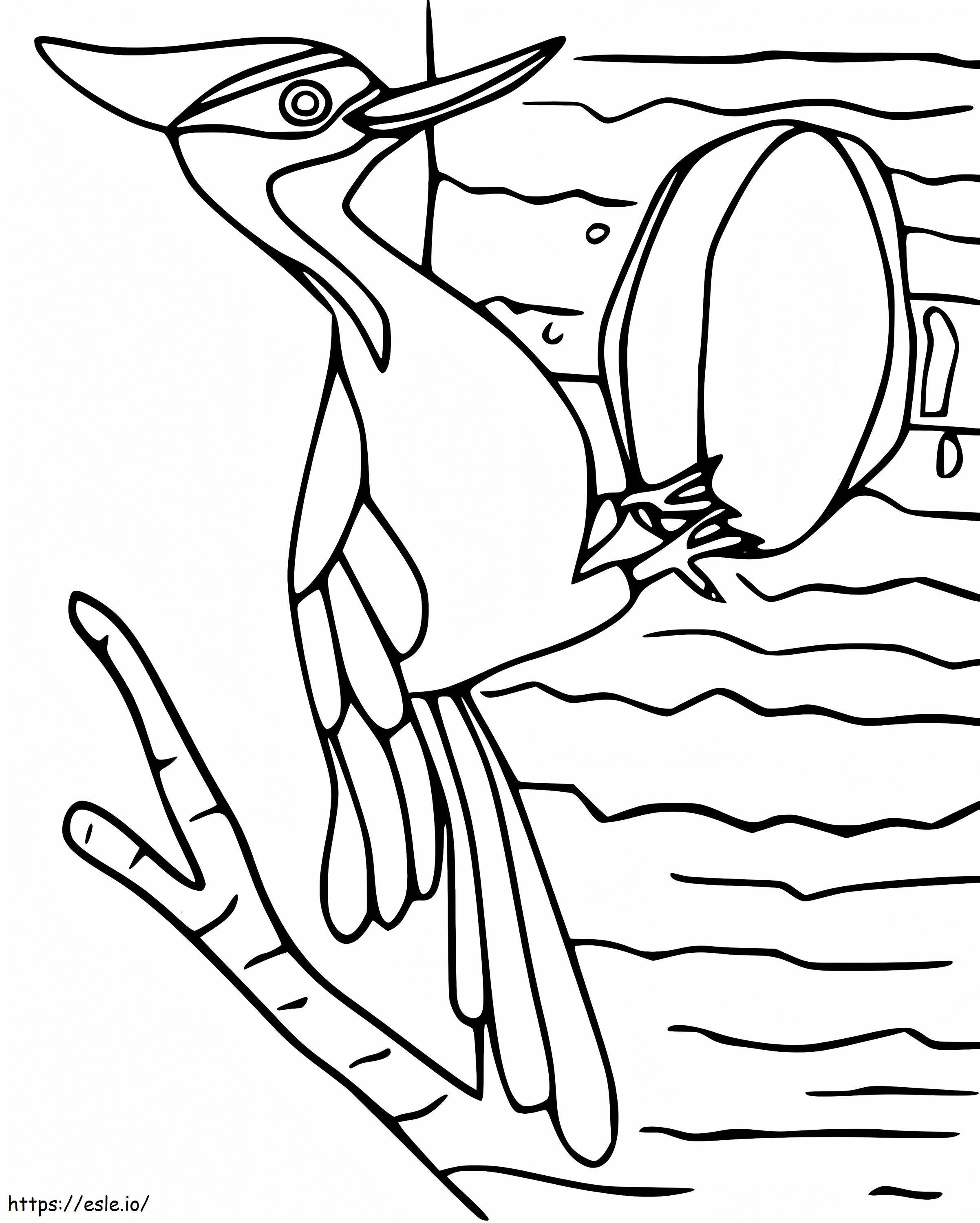 Woodpecker 7 coloring page