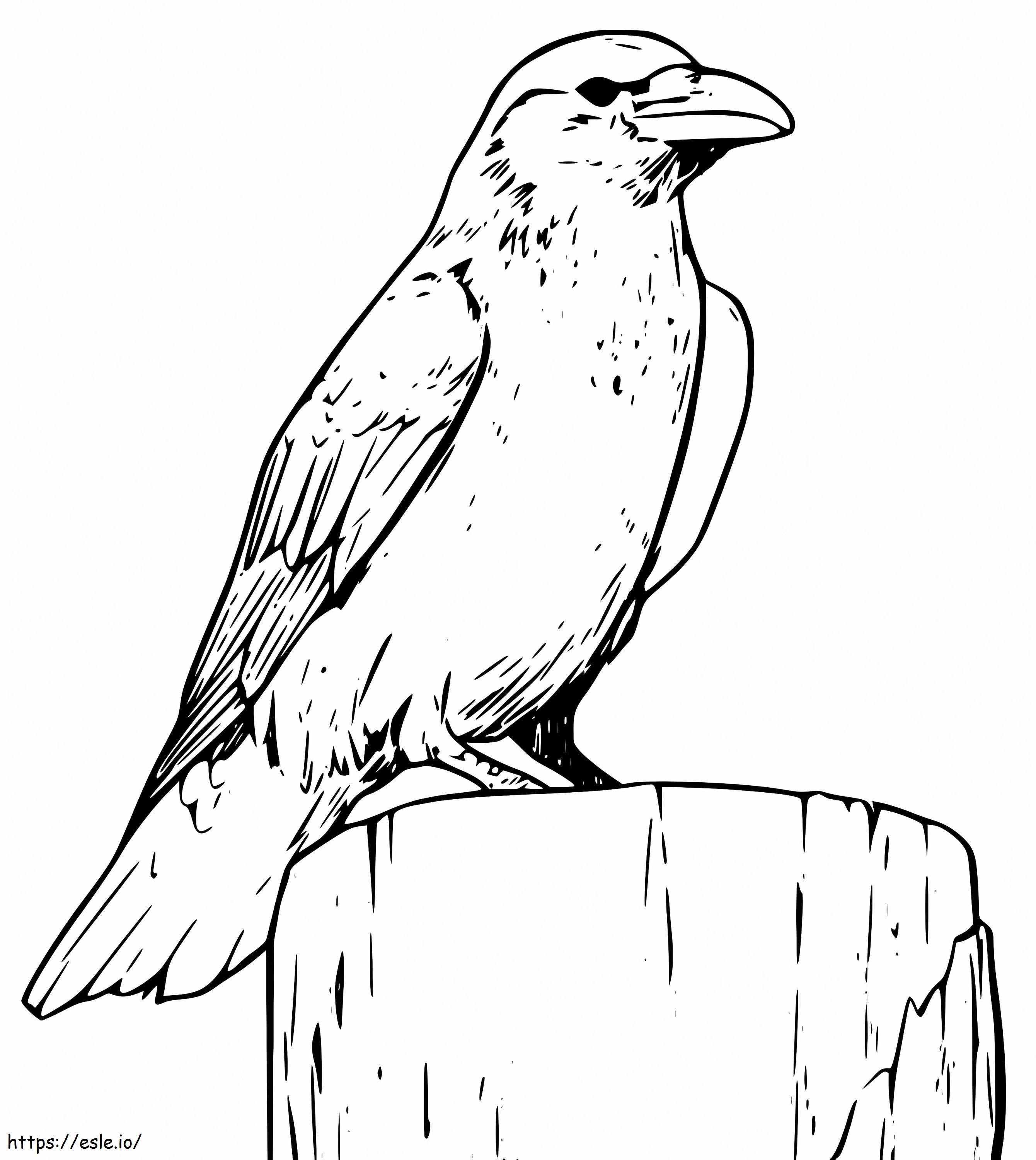 Raven 1 coloring page