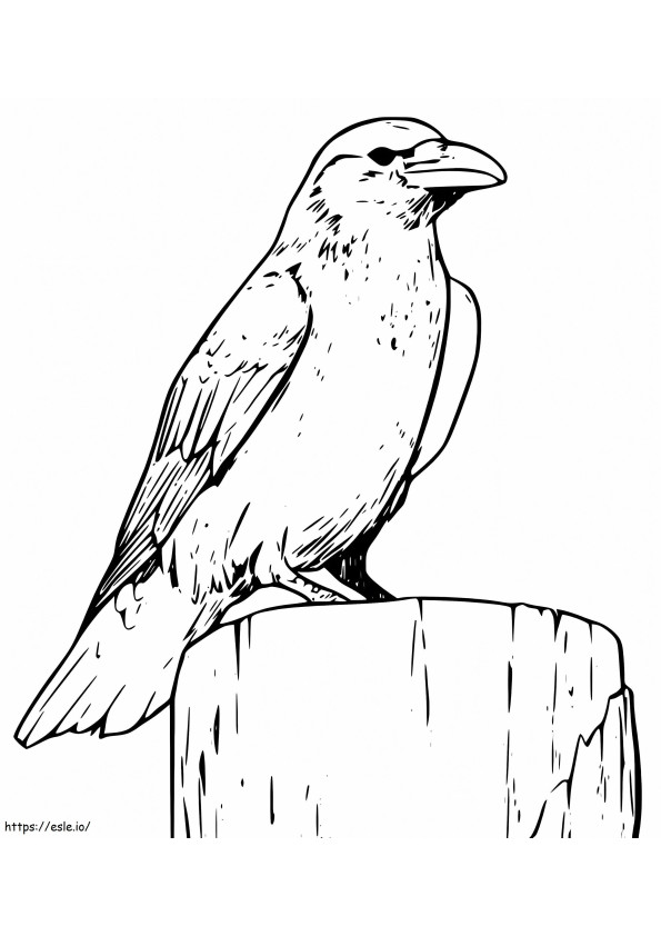 Raven 1 coloring page