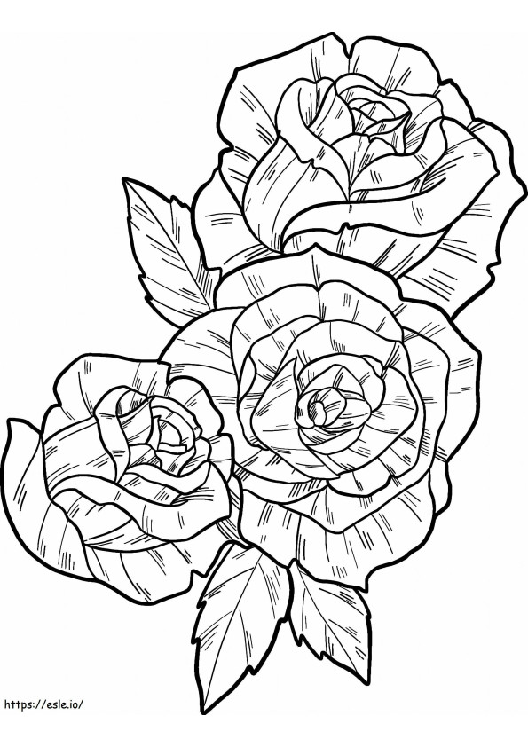 Coloriage Trois belles roses à imprimer dessin