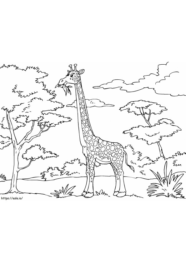 Coloriage 1529033487 Collection imprimable de girafe de girafe à imprimer dessin