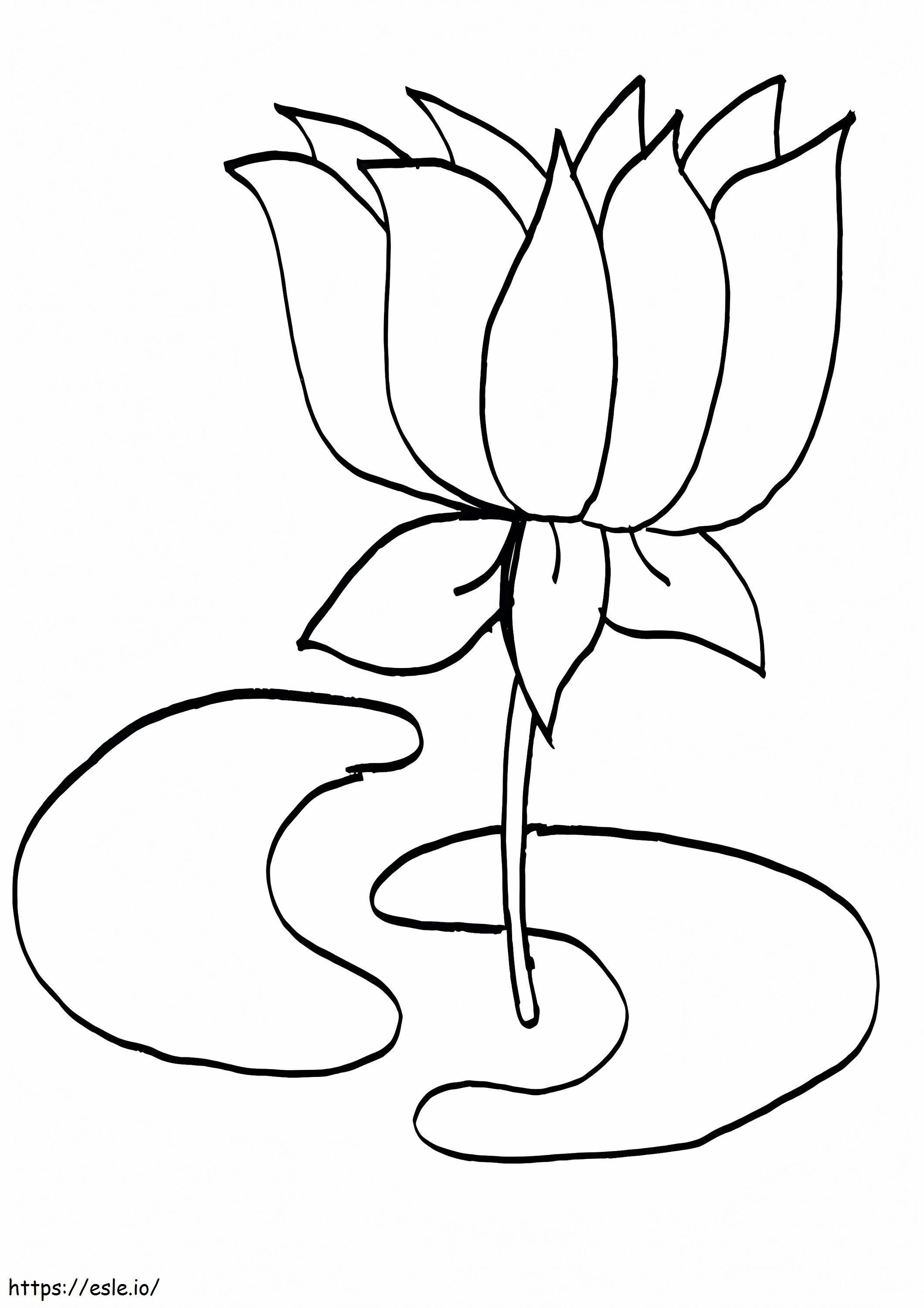 Mooie Lotusbloem kleurplaat kleurplaat