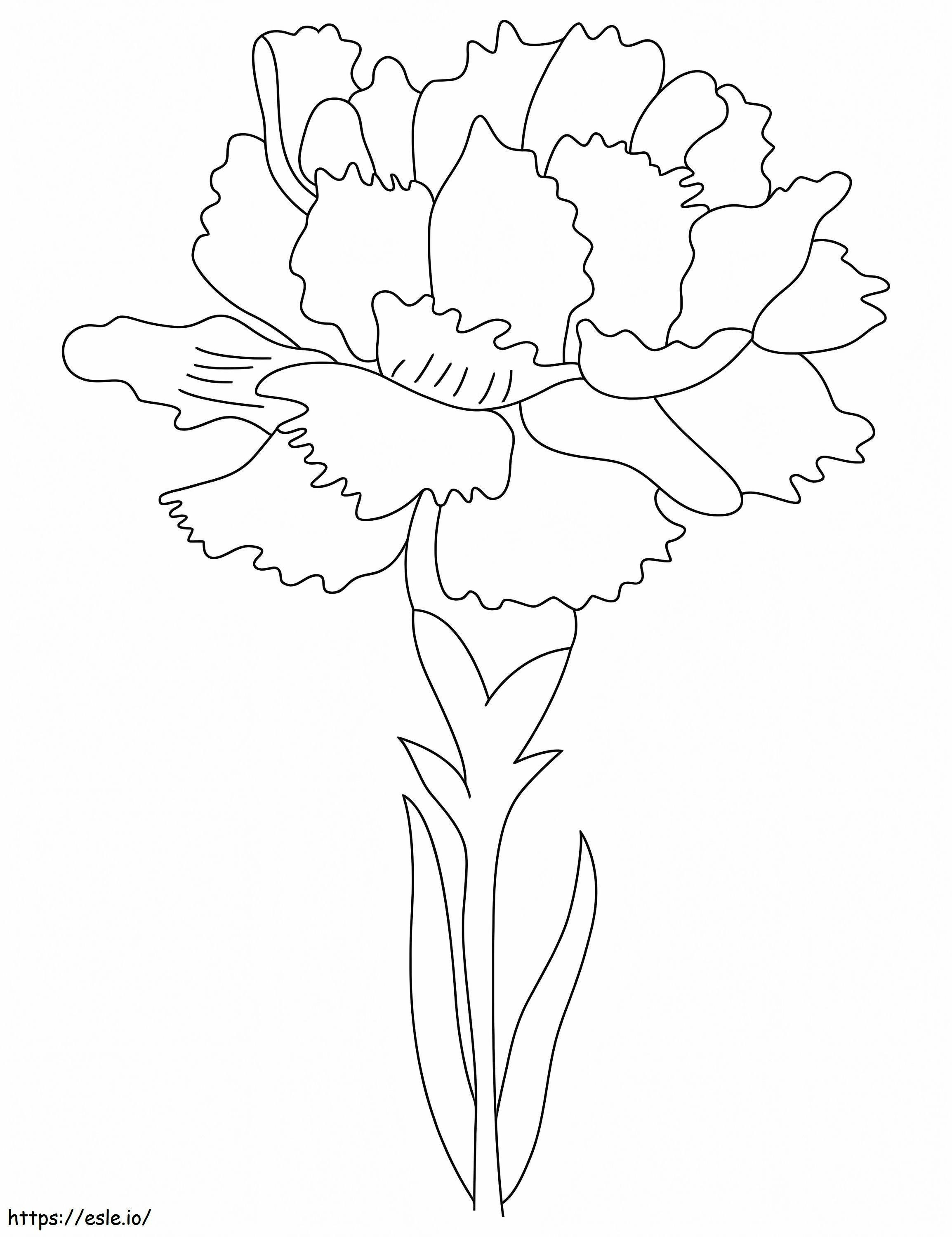 Carnation Birth Flower coloring page