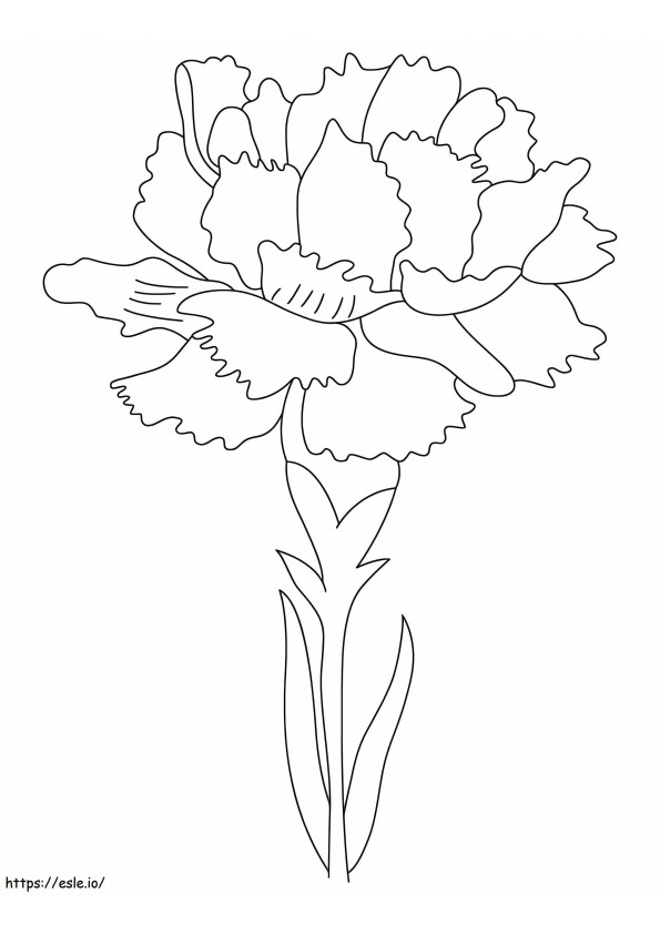 Fiore di nascita del garofano da colorare