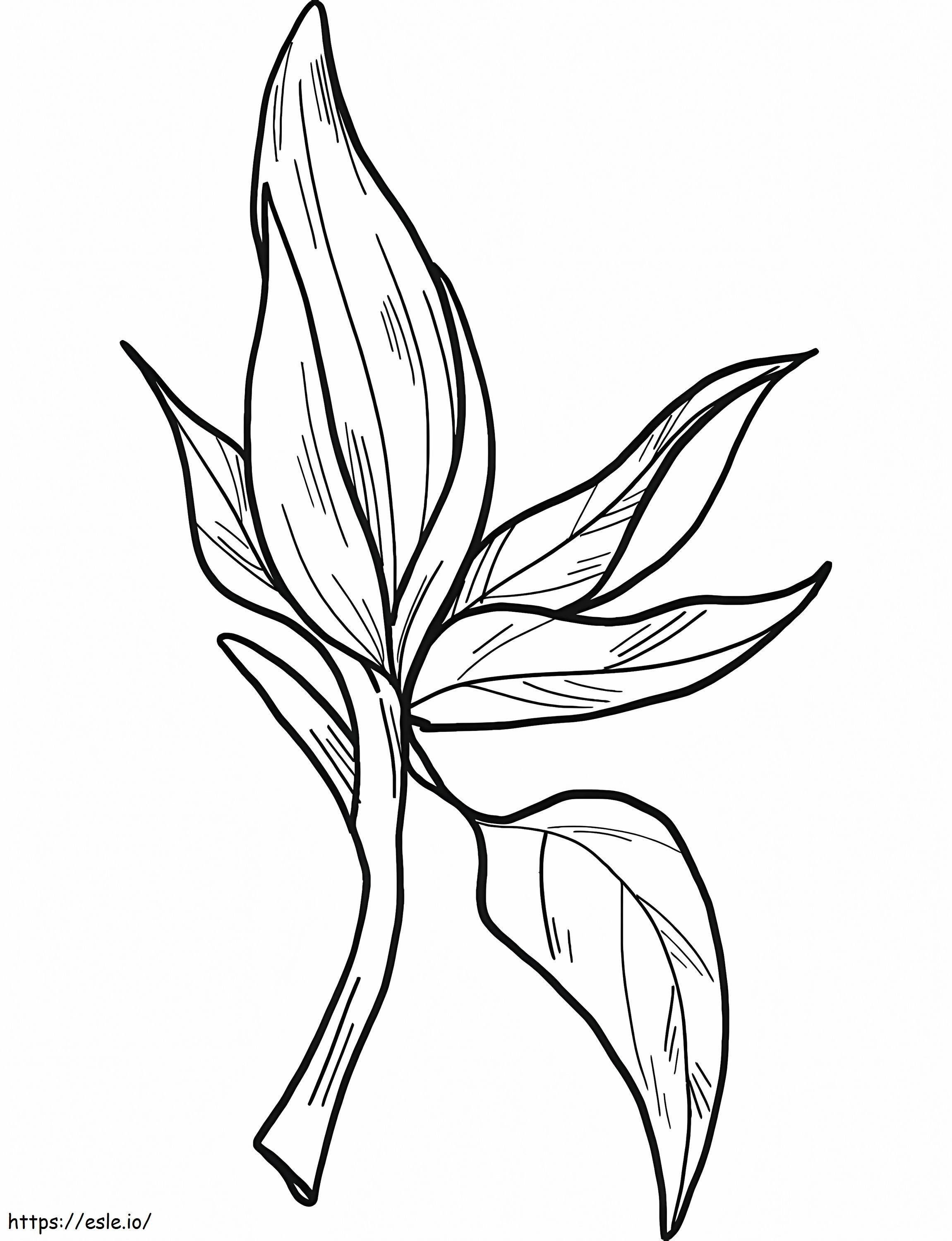 マグノリアの花 13 ぬりえ - 塗り絵