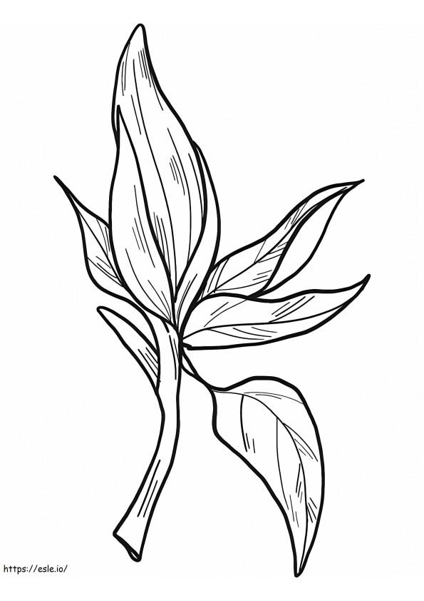 Coloriage Fleur de magnolia 13 à imprimer dessin