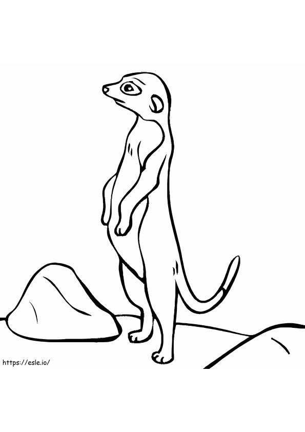 Coloriage Bon suricate à imprimer dessin