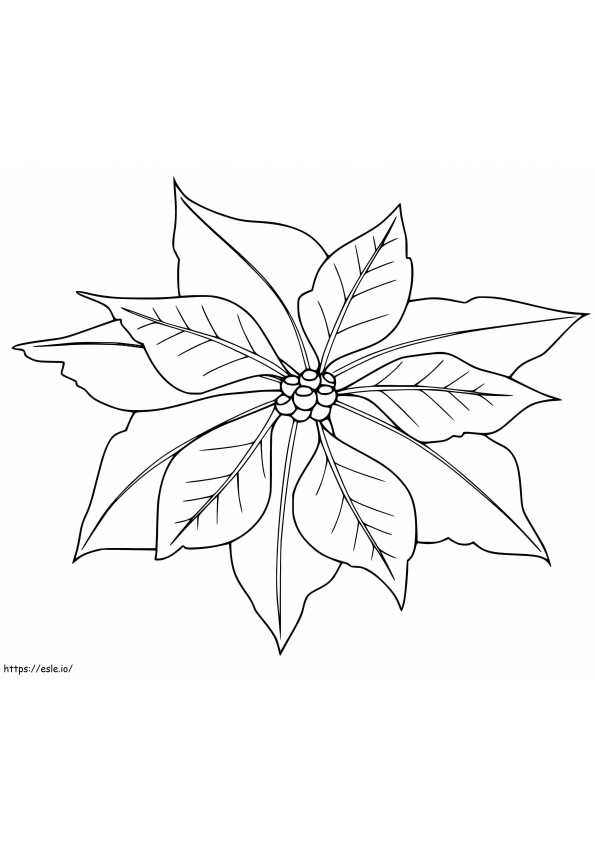 Coloriage Imprimer Poinsettia de Noël à imprimer dessin