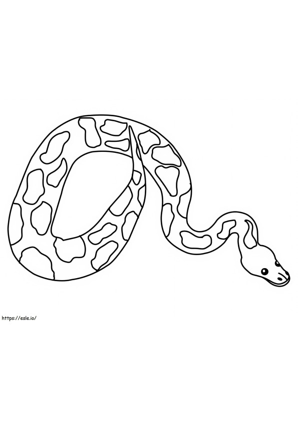 Python Normalny kolorowanka
