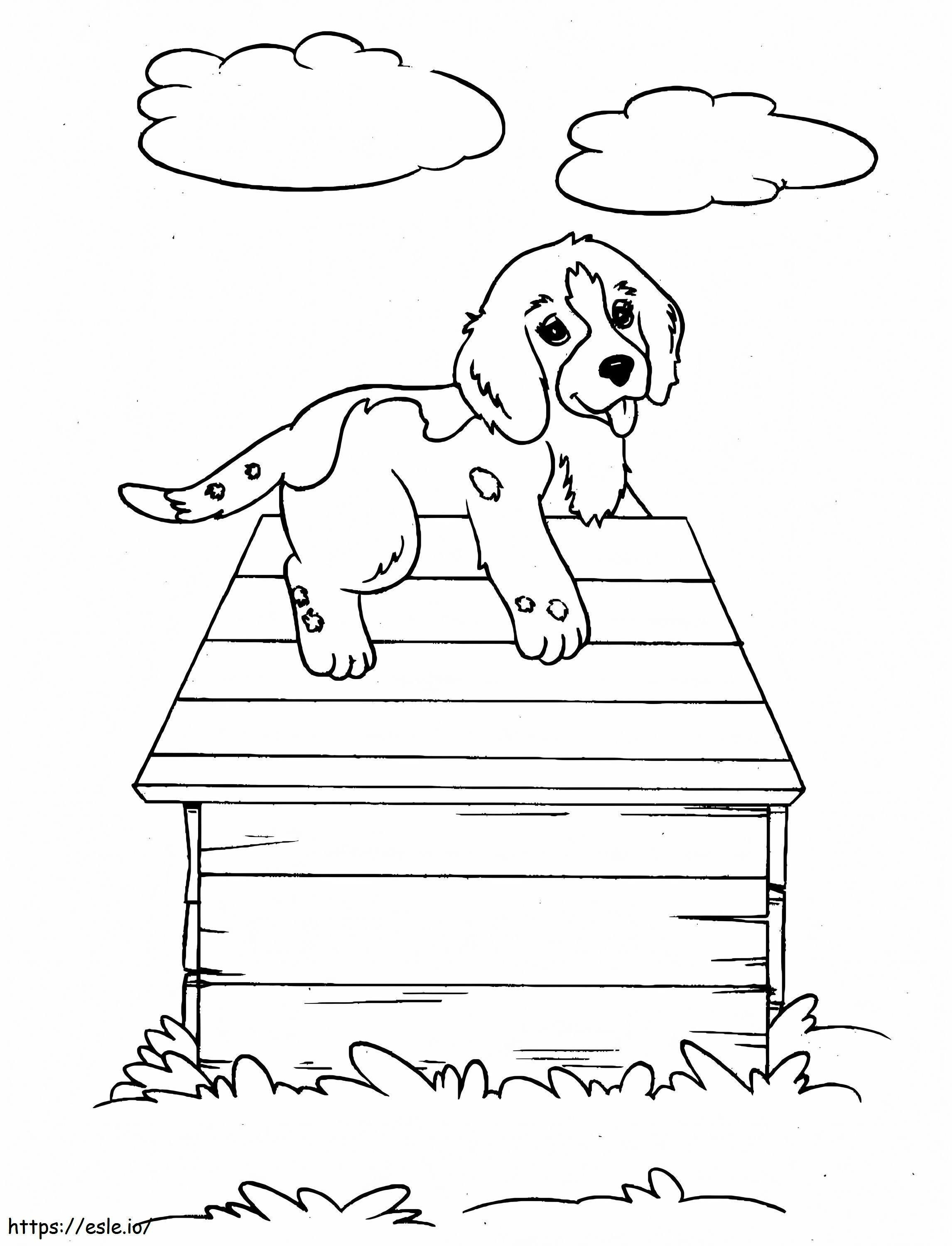 Câine în căsuță de colorat