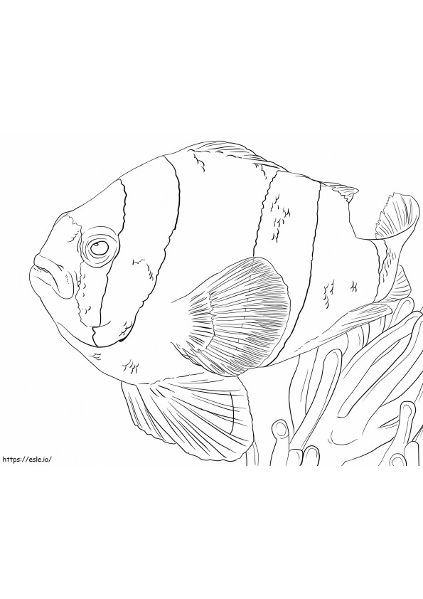 Clownfish Under The Ocean coloring page