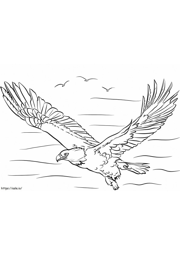 Bald Eagle 1 coloring page