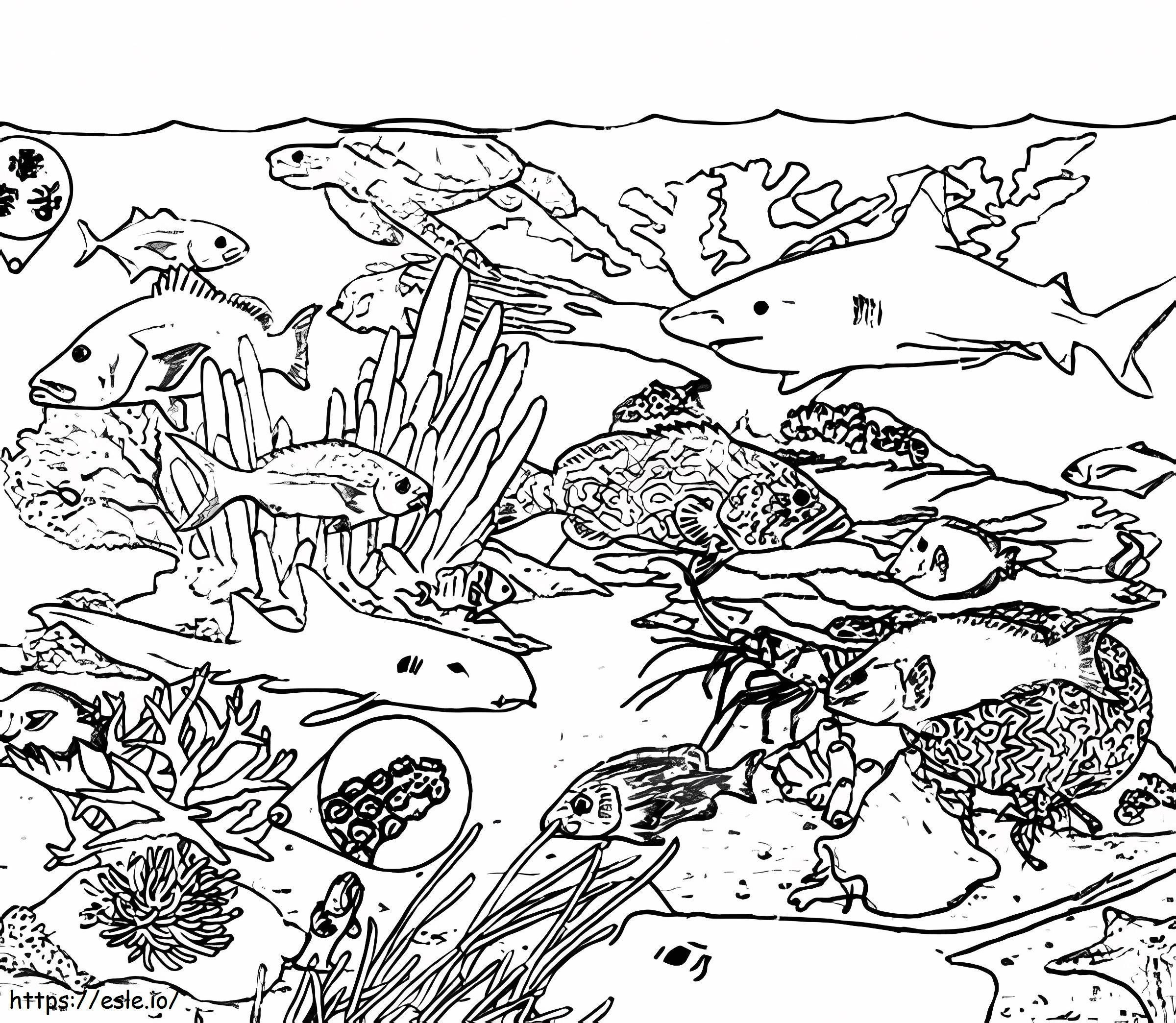 Coral Reef Ecosystem coloring page