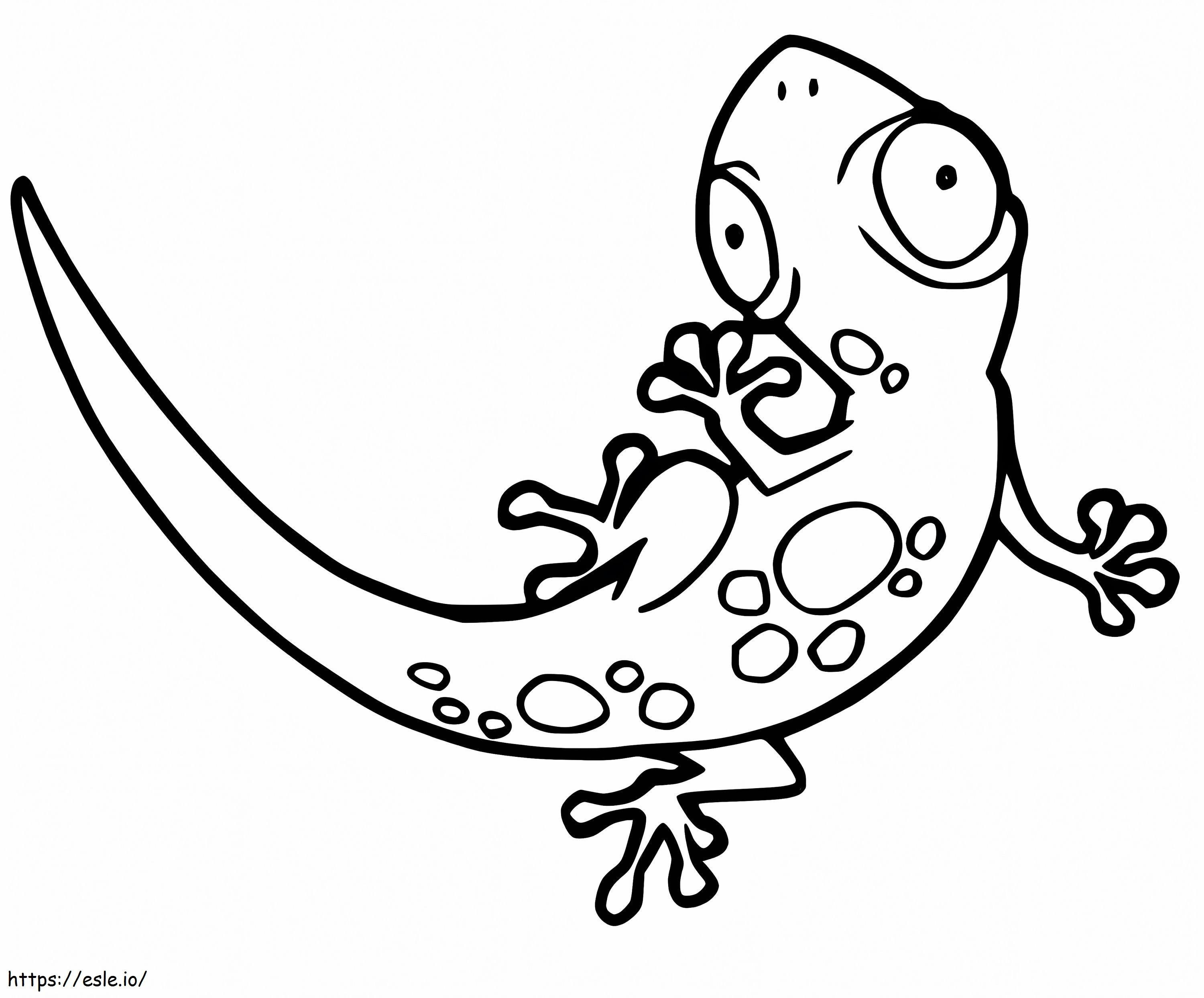 Coloriage Gecko Drole à imprimer dessin