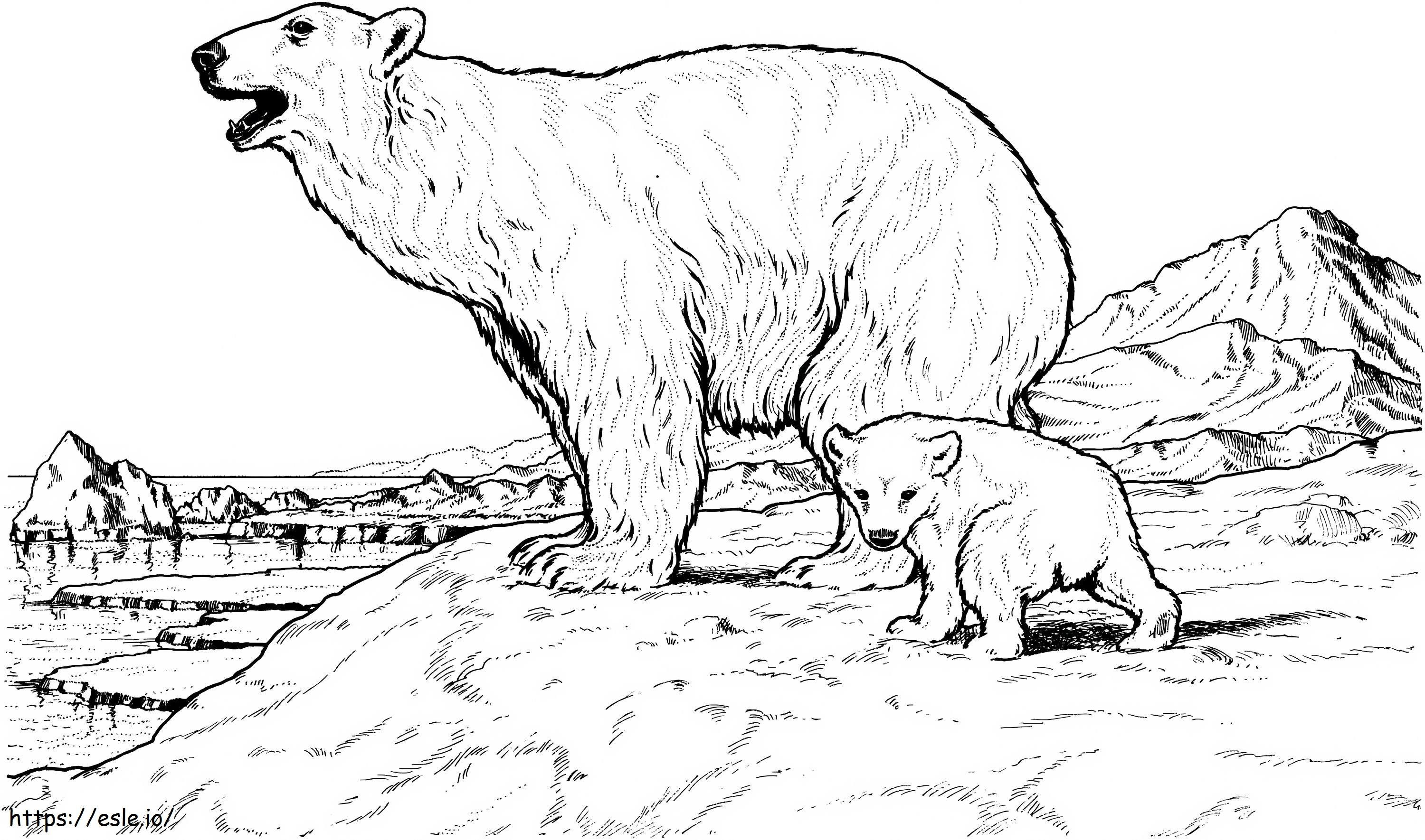 madre oso e hijo para colorear