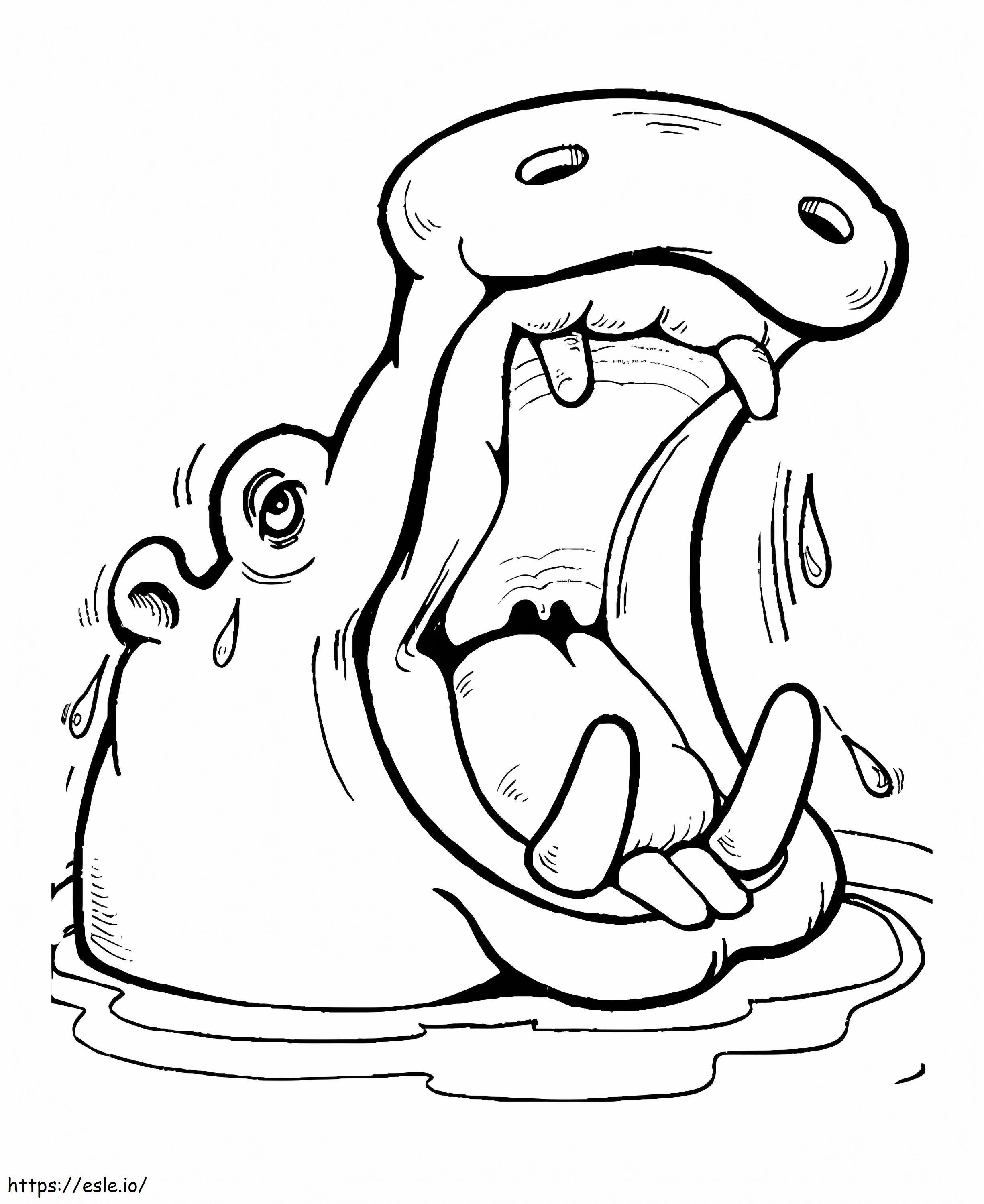 Cabeça de hipopótamo para colorir