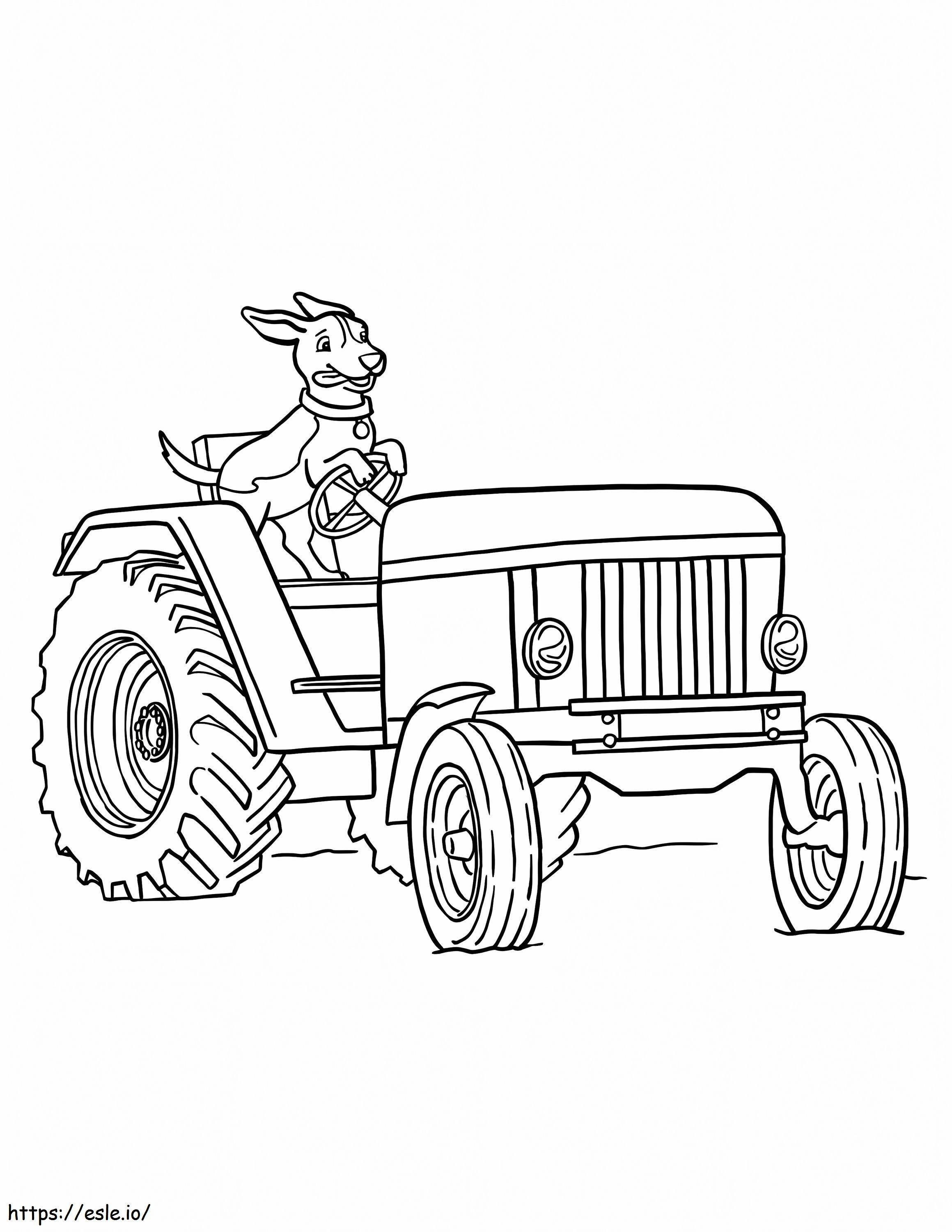 Traktor prowadzący psa kolorowanka