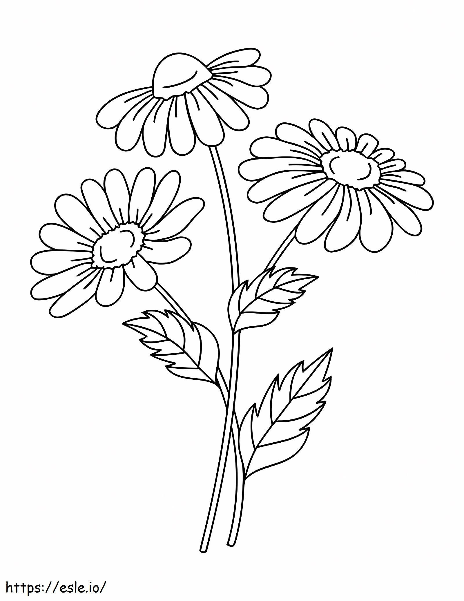 Three Flowers 1 coloring page