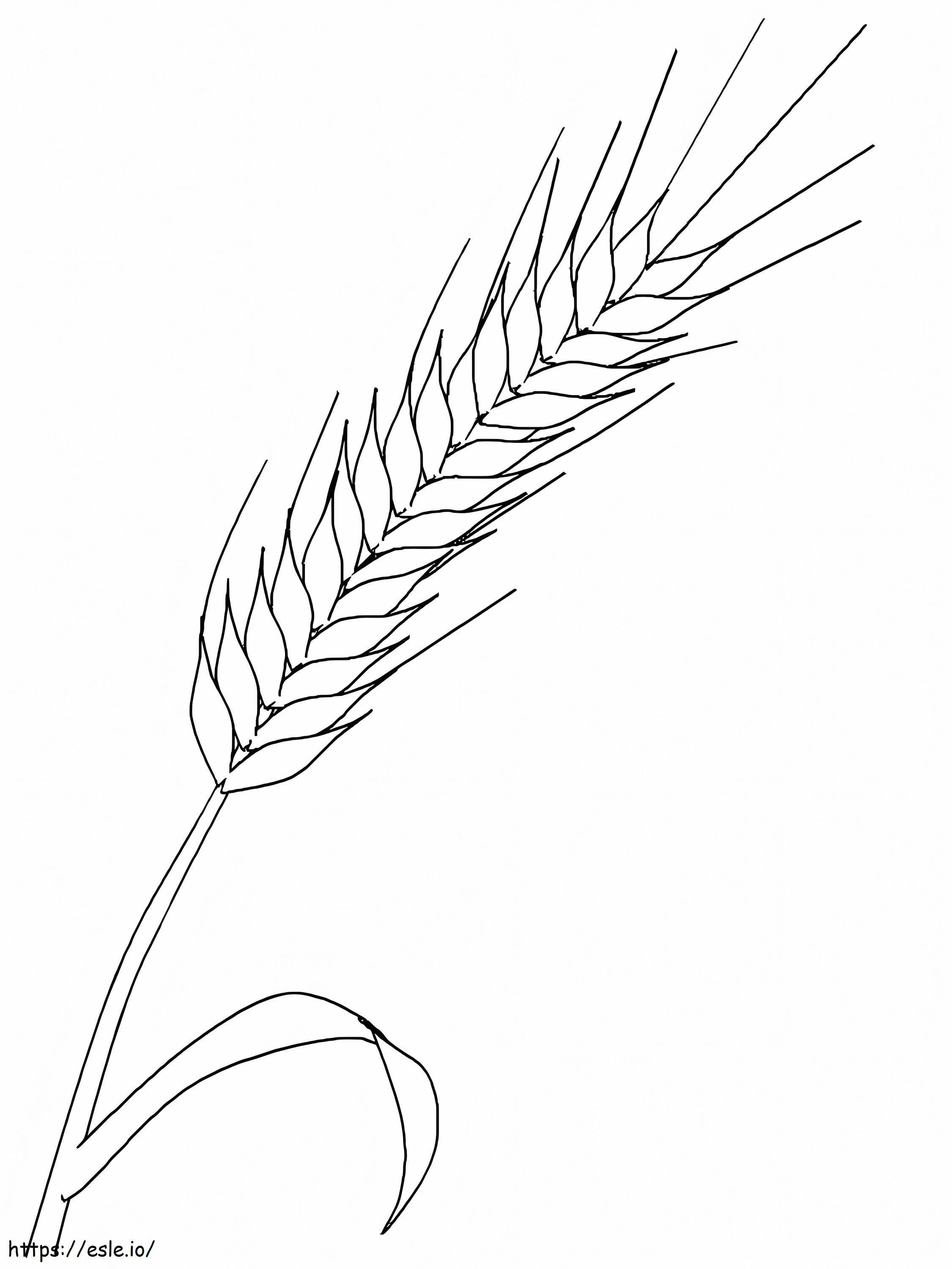 基本的な小麦 ぬりえ - 塗り絵