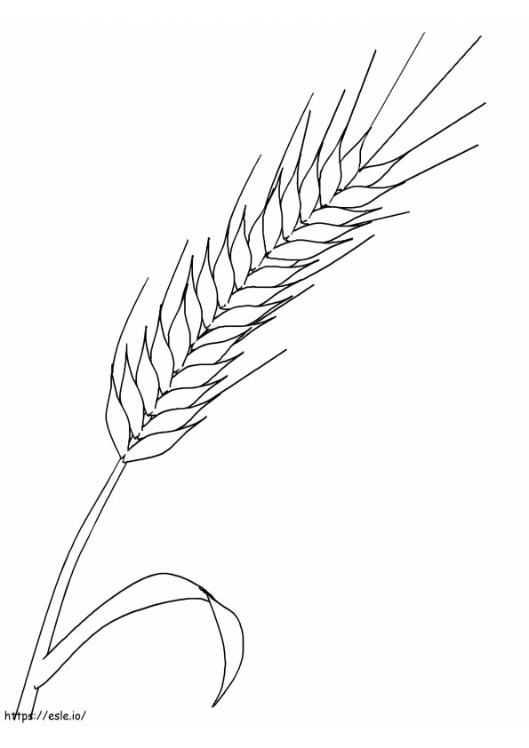基本的な小麦 ぬりえ - 塗り絵