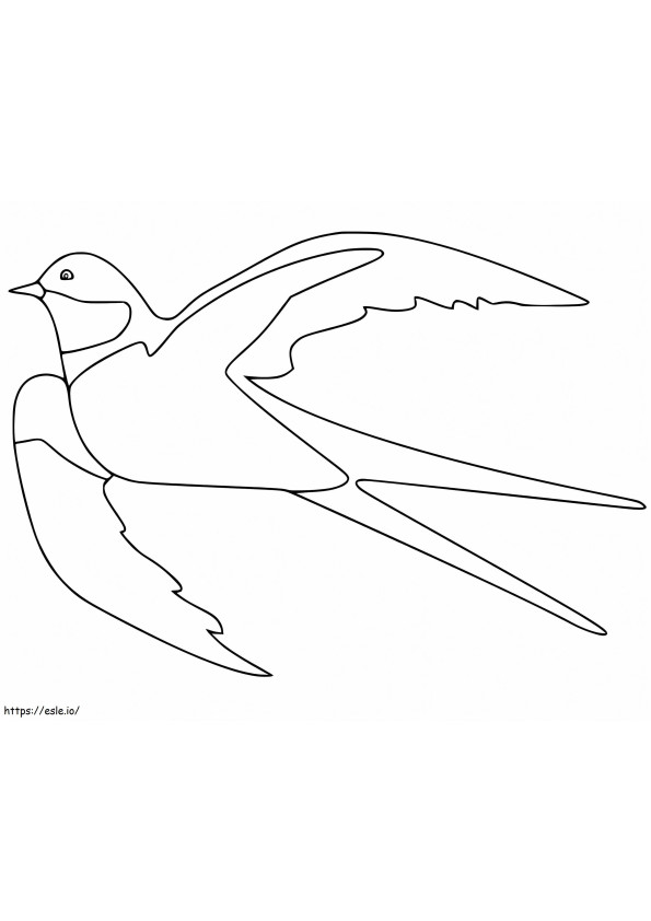 Swallow 4 coloring page