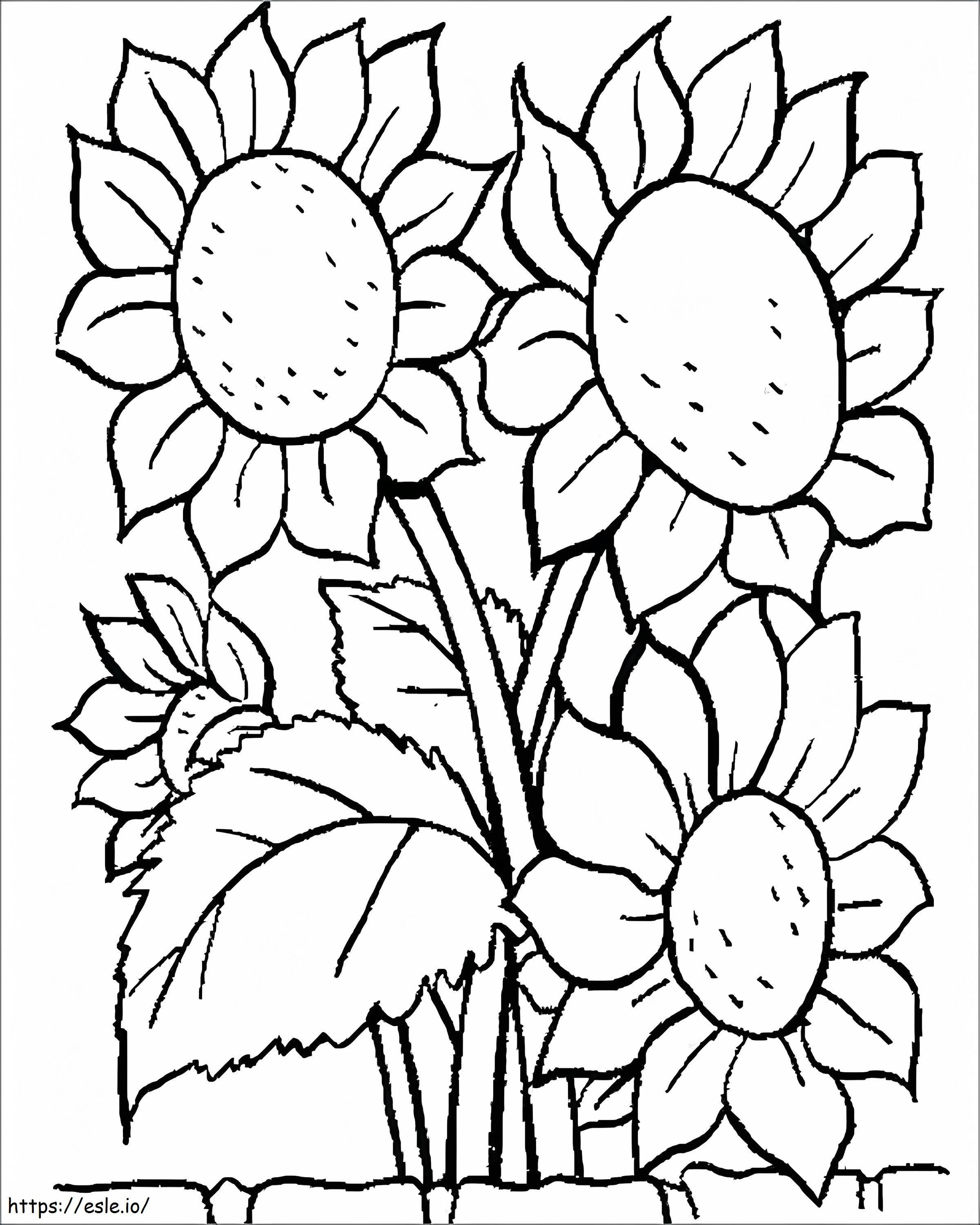 Coloriage Un bouquet de tournesols à imprimer dessin