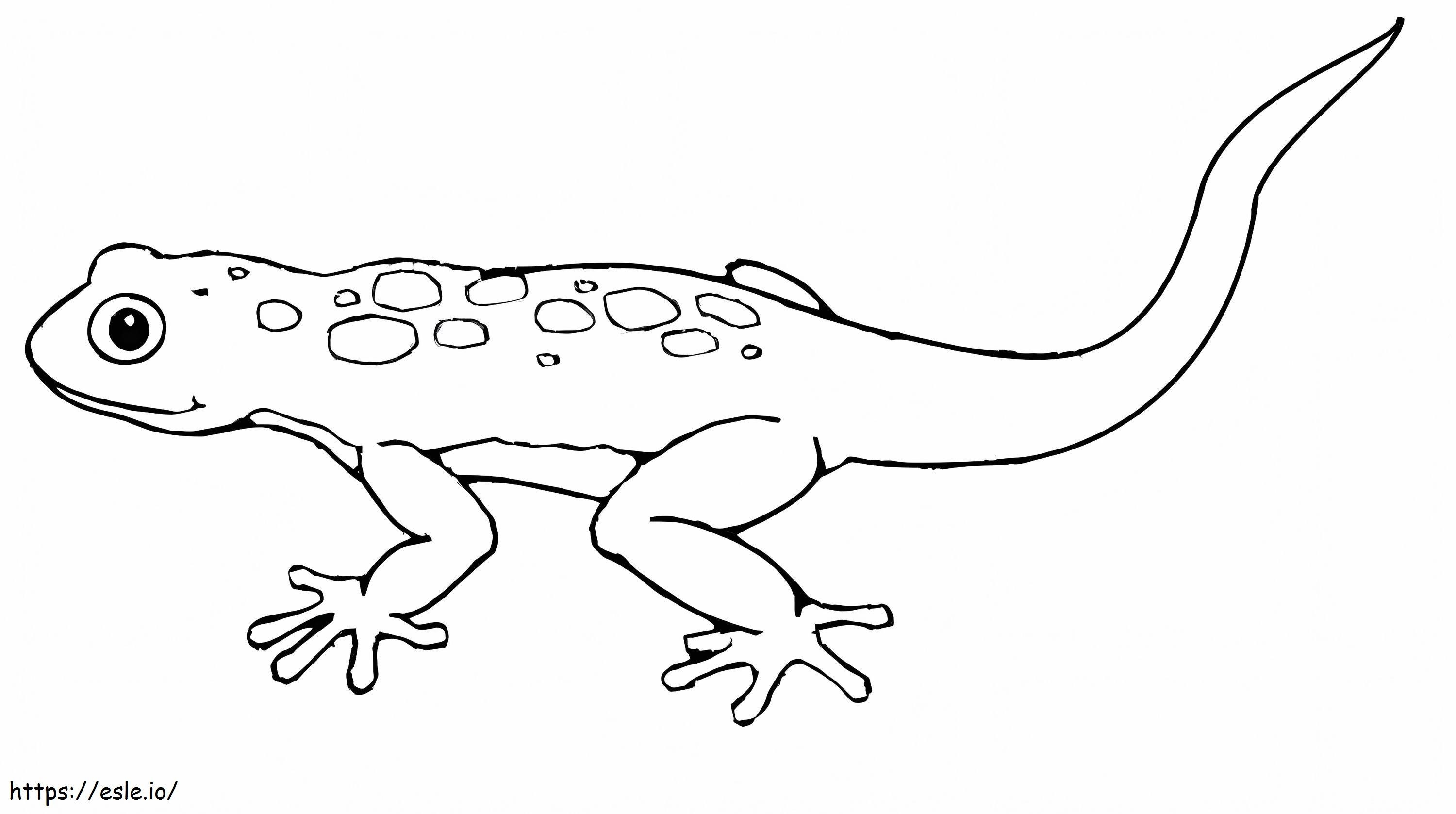 Simple Lizard coloring page
