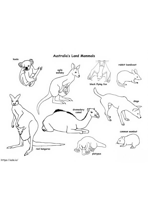 オーストラリアの動物 ぬりえ - 塗り絵