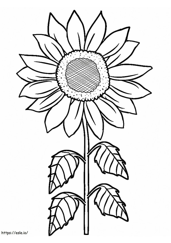 Floarea soarelui pentru copii de colorat