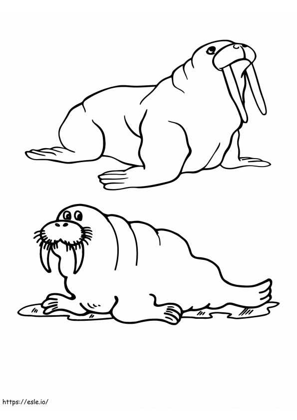 Coloriage Deux morses animaux arctiques à imprimer dessin