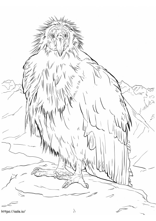 Fresh Condor coloring page
