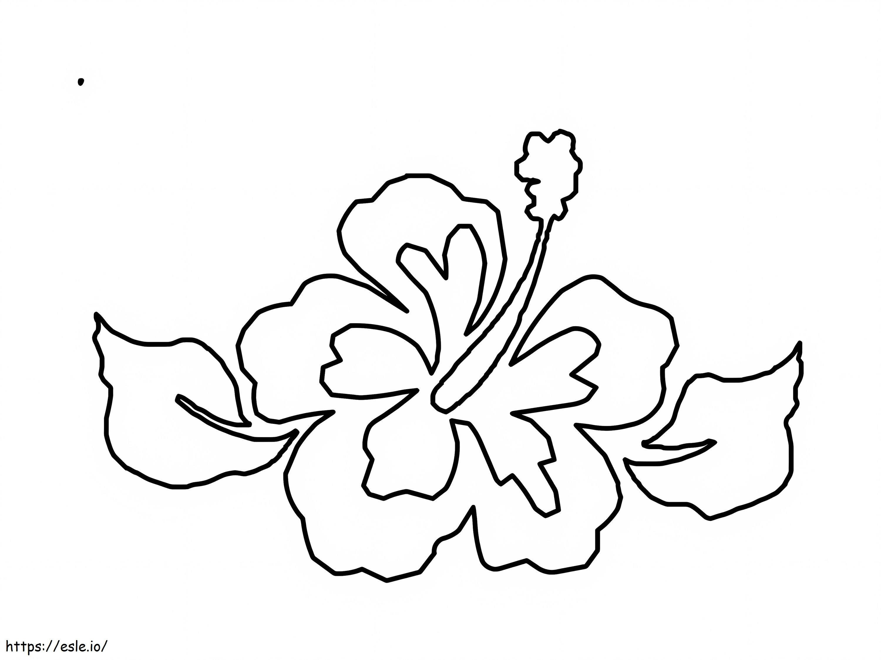Coloriage Hibiscus simple 1 à imprimer dessin