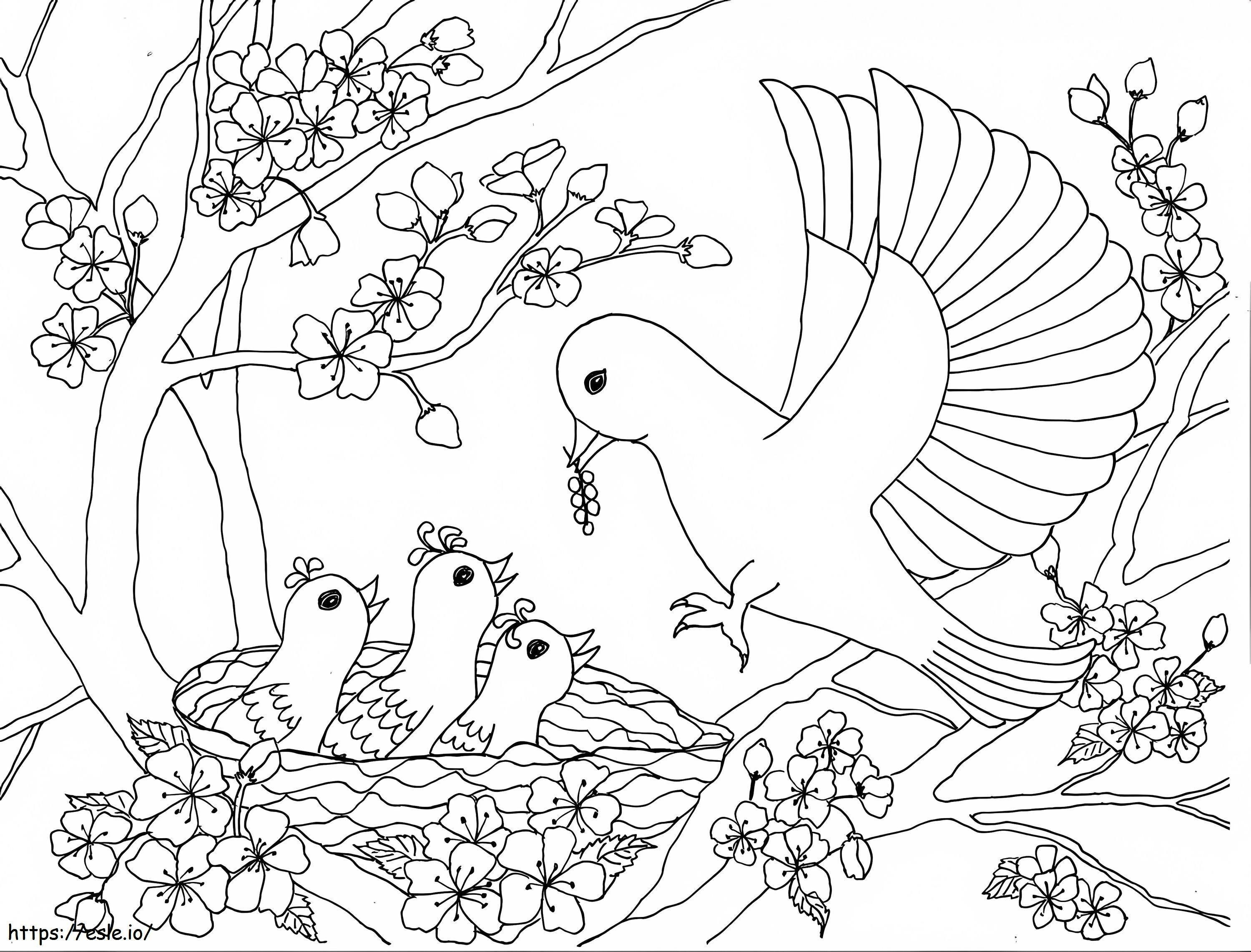 Rodzina ptaków na drzewie kwitnącej wiśni kolorowanka