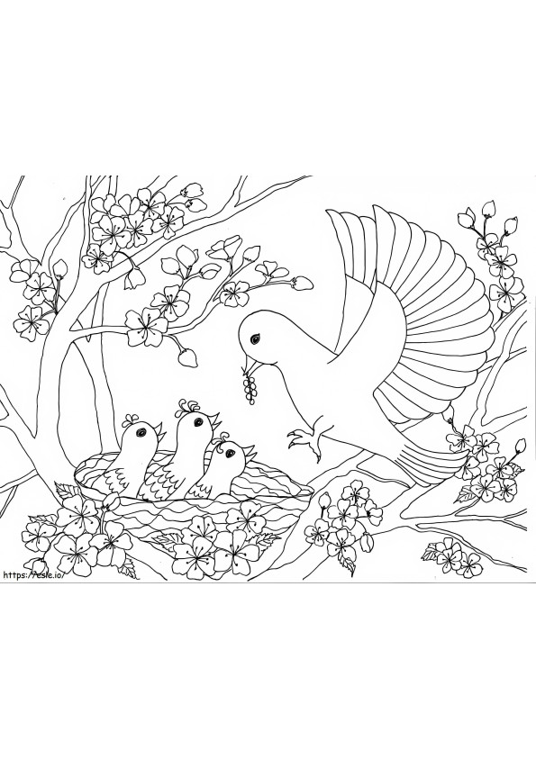 Familia de păsări pe copacul cu flori de cireș de colorat